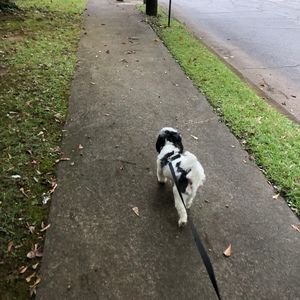 Meet your Posher, Bianca